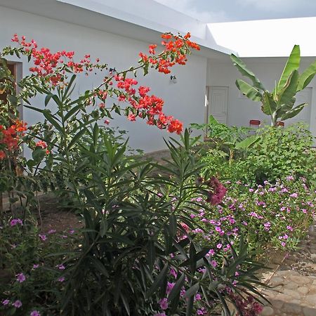 Villa Sao Jose Pedra Badejo  Exterior photo