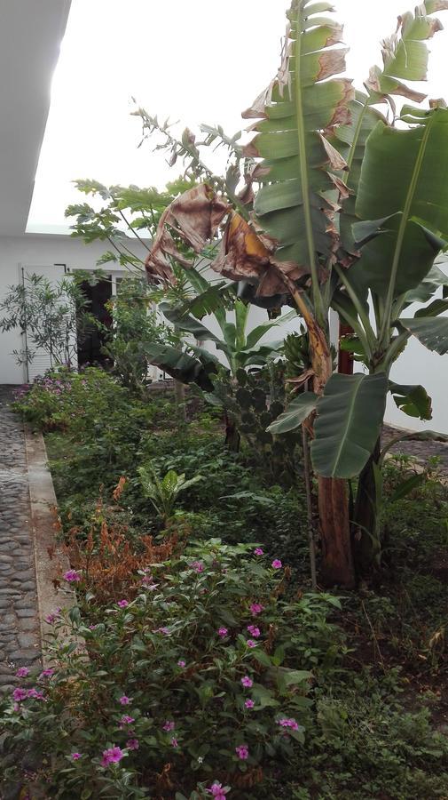 Villa Sao Jose Pedra Badejo  Exterior photo